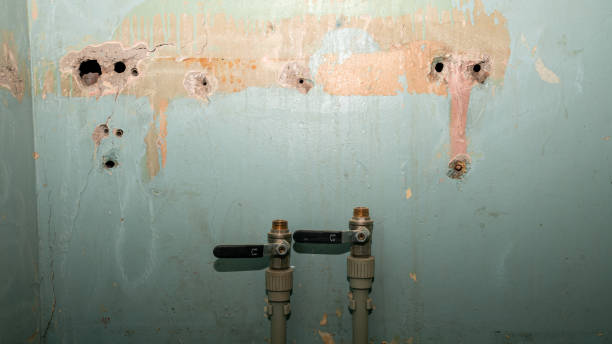 Best Residential water damage restoration  in New Britain, CT